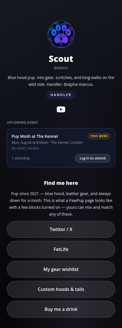 Handler profile with Starfield theme